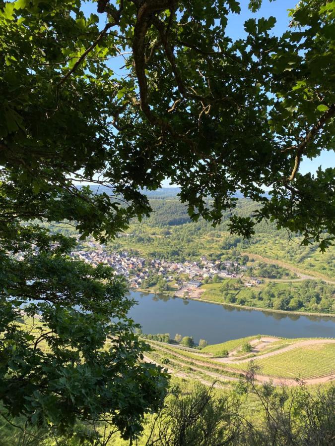 Ferienwohnungen Und Gaestezimmer Peter Busch Verbandsgemeinde Verbandsgemeinde Bernkastel-Kues Buitenkant foto