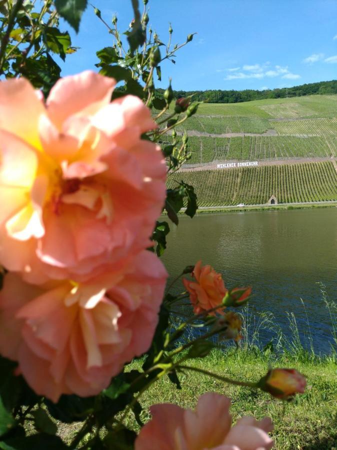 Ferienwohnungen Und Gaestezimmer Peter Busch Verbandsgemeinde Verbandsgemeinde Bernkastel-Kues Buitenkant foto
