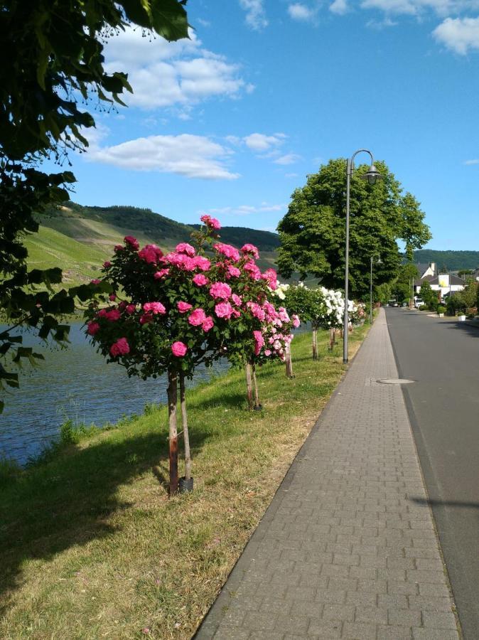 Ferienwohnungen Und Gaestezimmer Peter Busch Verbandsgemeinde Verbandsgemeinde Bernkastel-Kues Buitenkant foto