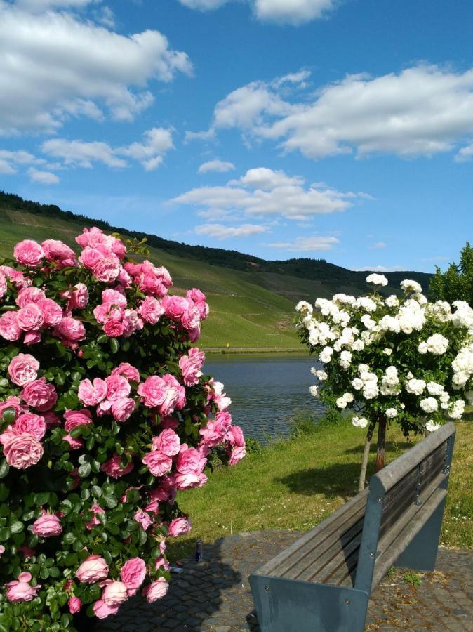 Ferienwohnungen Und Gaestezimmer Peter Busch Verbandsgemeinde Verbandsgemeinde Bernkastel-Kues Buitenkant foto
