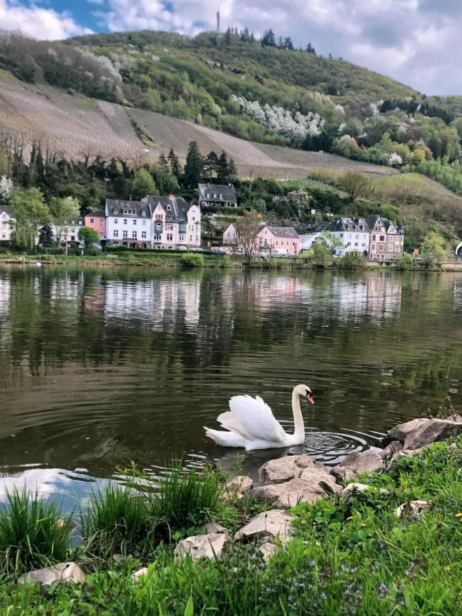 Ferienwohnungen Und Gaestezimmer Peter Busch Verbandsgemeinde Verbandsgemeinde Bernkastel-Kues Buitenkant foto