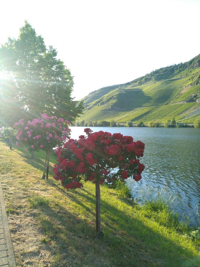 Ferienwohnungen Und Gaestezimmer Peter Busch Verbandsgemeinde Verbandsgemeinde Bernkastel-Kues Buitenkant foto