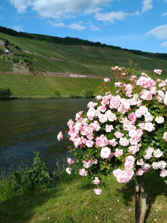 Ferienwohnungen Und Gaestezimmer Peter Busch Verbandsgemeinde Verbandsgemeinde Bernkastel-Kues Buitenkant foto